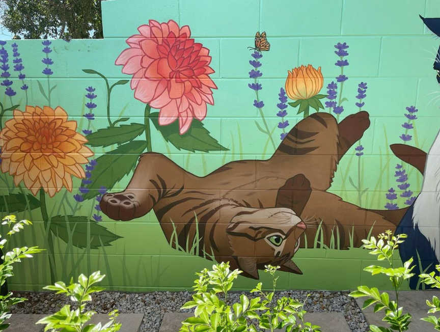 石家庄彩绘墙画多少钱一平方