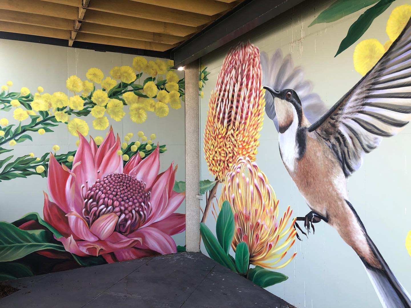 337165995_575753277846477_2244536976760704041_n 337165995_575753277846477_2244536976760704041_n