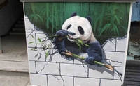杭州网红墙涂鸦公司