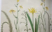 墙体彩绘壁画电话