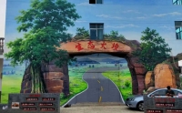 街道翅膀涂鸦墙