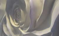 西安手绘浮雕壁画师培训学校