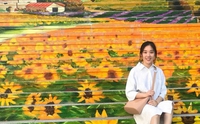 深圳专业农村墙绘电话
