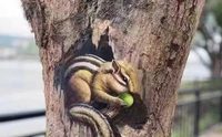 3d立体手绘壁画背景墙