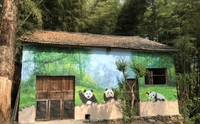 乡村文化墙绘施工